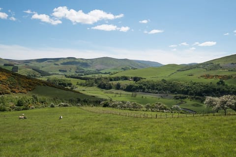 Reedsford - surrounding hills