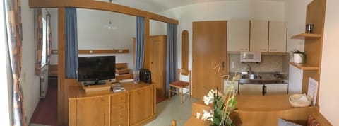 Basic Apartment, 1 King Bed | Living area | Flat-screen TV