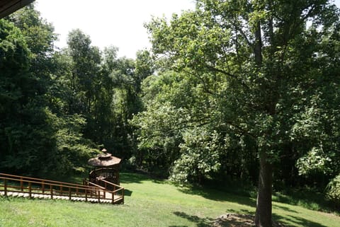 View from the upstairs porch