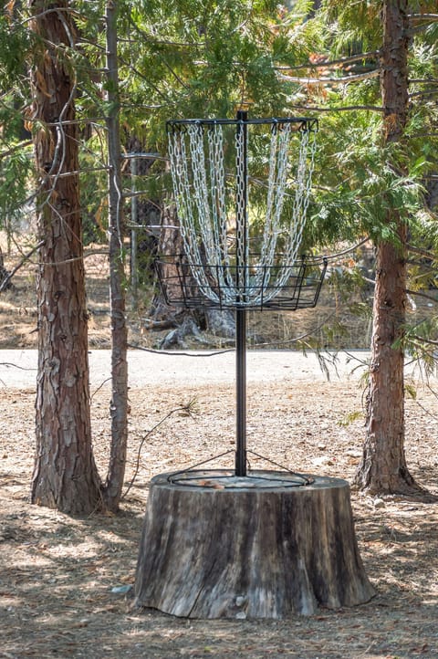 Disc Golf Basket, Discs for practicing are in the garage