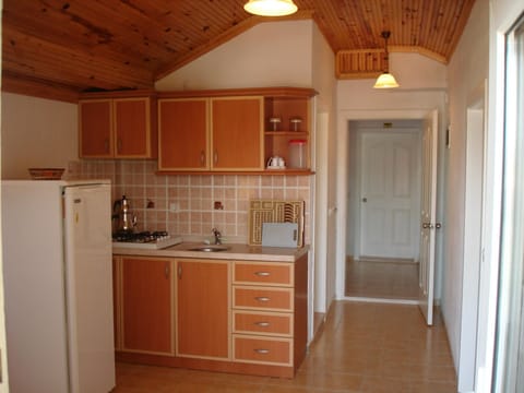 Family Apartment, 2 Bedrooms | Private kitchenette | Fridge, stovetop, coffee/tea maker, highchair