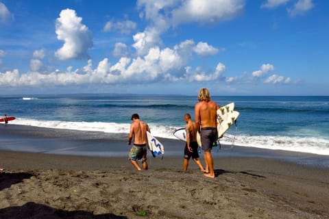 Beach nearby, surfing