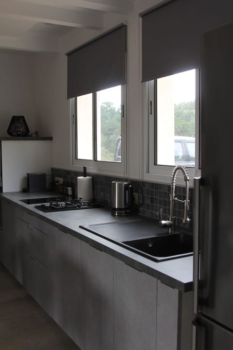 Design Apartment, 1 Bedroom, Fireplace, Sea View | Private kitchen | Fridge, microwave, oven, stovetop