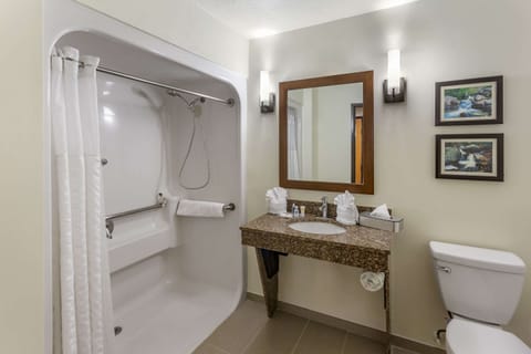 Suite, 1 King Bed with Sofa bed, Non Smoking | Bathroom | Combined shower/tub, hydromassage showerhead, free toiletries