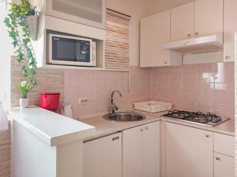 Cabinetry, Kitchen Sink, Sink, Tap, Property, Countertop, Furniture, Building, Plumbing Fixture, Plant