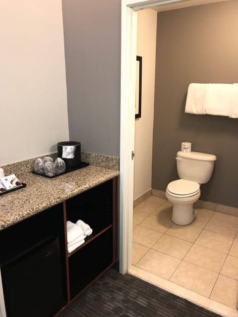 Combined shower/tub, free toiletries, hair dryer, towels