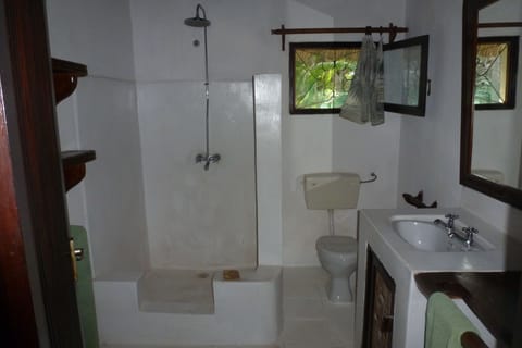Luxury Villa, 4 Bedrooms | Bathroom | Shower, free toiletries, hair dryer, bathrobes