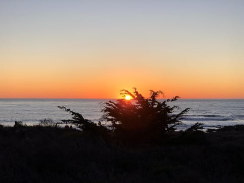 Beach/ocean view