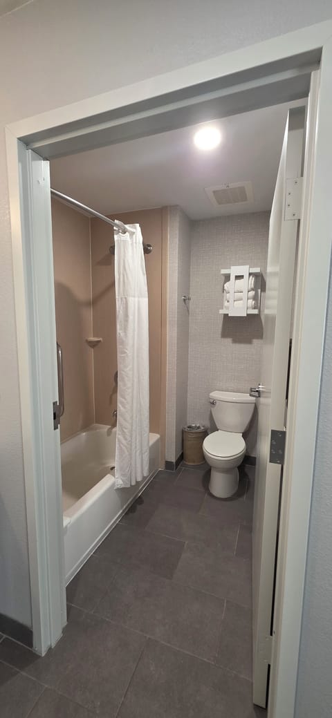 Suite, 1 King Bed, Non Smoking | Bathroom | Free toiletries, hair dryer, towels