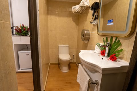 Premier Room | Bathroom | Free toiletries, towels