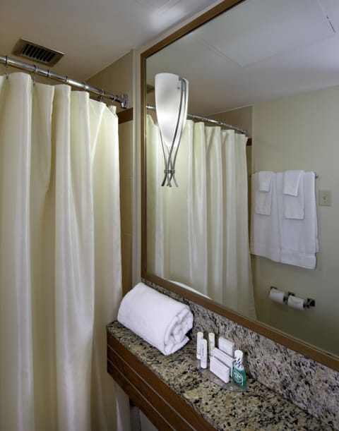 Combined shower/tub, free toiletries, hair dryer, towels