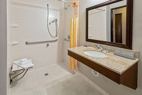 Combined shower/tub, free toiletries, hair dryer, towels