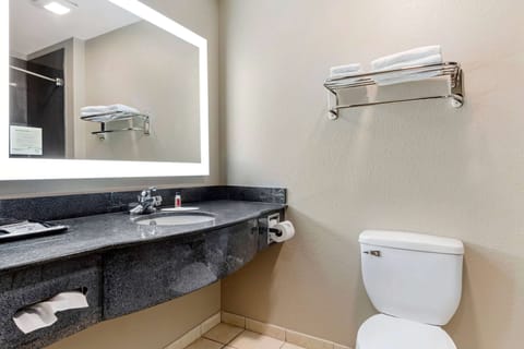 Combined shower/tub, free toiletries, hair dryer, towels