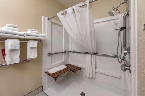 Combined shower/tub, free toiletries, hair dryer, towels