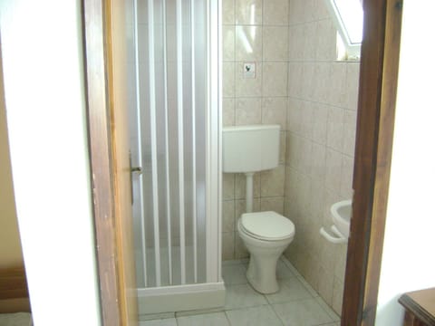 Double Room | Bathroom | Shower, hair dryer