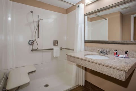 Combined shower/tub, free toiletries, hair dryer, towels