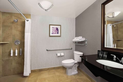 Standard Room, 1 King Bed, Accessible | Bathroom shower