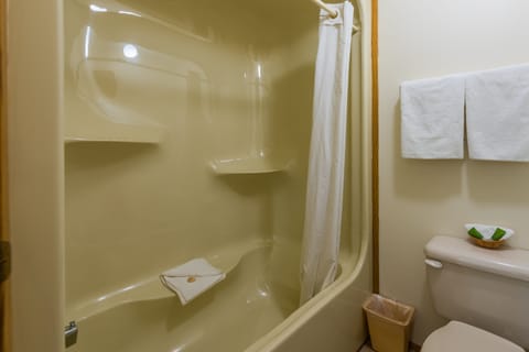 Combined shower/tub, deep soaking tub, hair dryer, towels