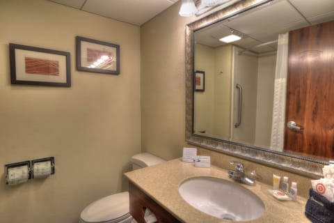 Standard Room, 2 Queen Beds, Non Smoking, Mountain View | Bathroom | Combined shower/tub, hair dryer, towels