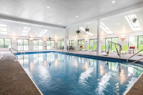 Indoor pool, sun loungers