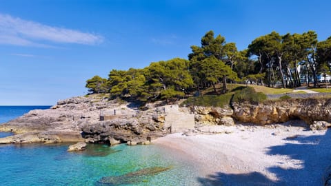 On the beach, sun loungers, snorkeling