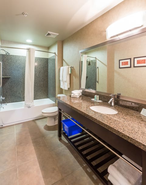 Suite | Bathroom amenities | Shower, free toiletries, hair dryer, towels