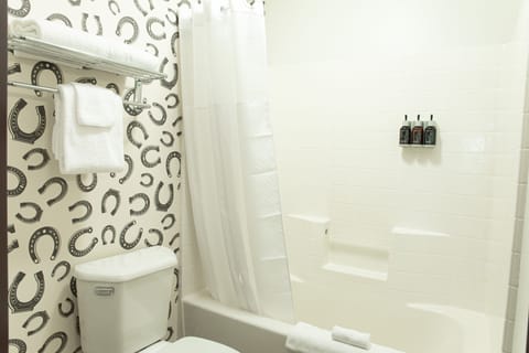 Combined shower/tub, free toiletries, hair dryer, towels