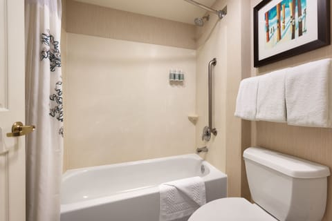 Combined shower/tub, free toiletries, hair dryer, towels