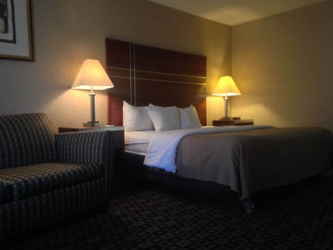 Premium bedding, desk, iron/ironing board, free WiFi