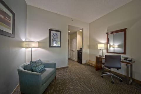 Deluxe Room, 1 King Bed, Non Smoking | Desk, laptop workspace, blackout drapes, iron/ironing board