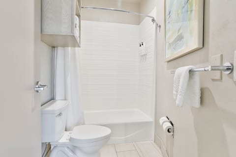 Combined shower/tub, free toiletries, hair dryer, towels