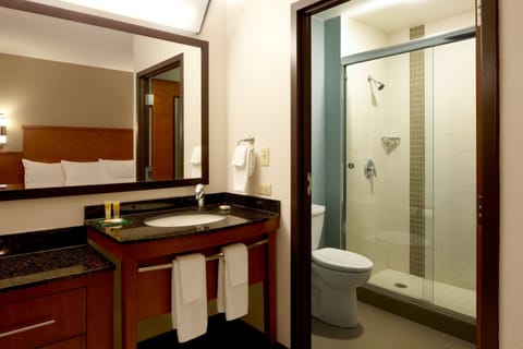 Room, 1 King Bed with Sofa bed (High Floor) | Bathroom | Combined shower/tub, designer toiletries, hair dryer, towels