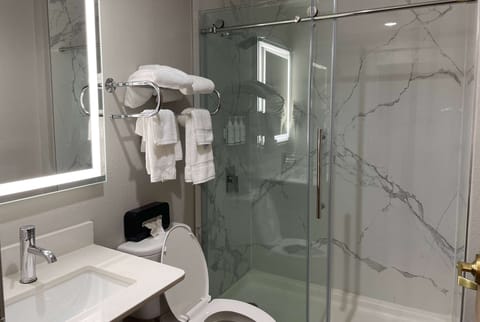 Combined shower/tub, free toiletries, hair dryer, towels