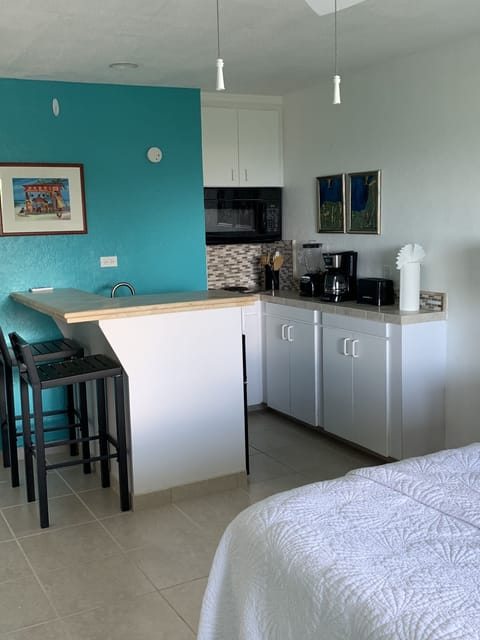 Premium Studio | Private kitchenette | Fridge, microwave, stovetop, blender