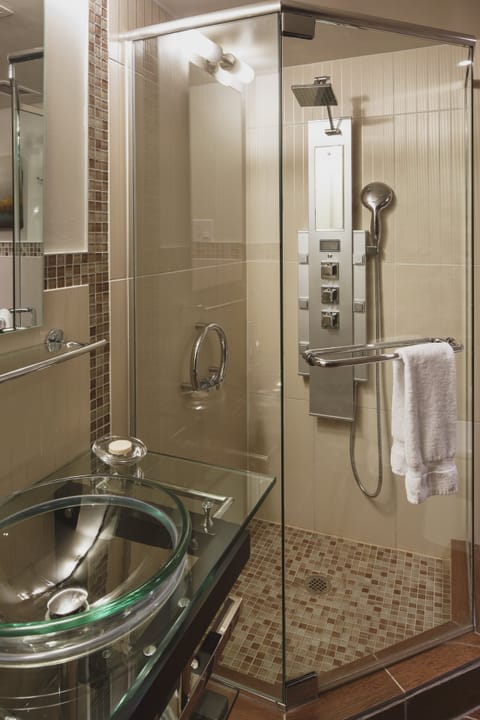 Shower, hydromassage showerhead, designer toiletries, hair dryer