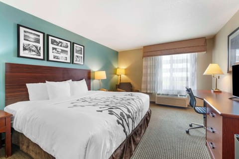 Standard Room, 1 King Bed, Non Smoking | Down comforters, pillowtop beds, desk, laptop workspace