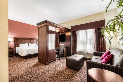 Suite, 1 King Bed, Non Smoking | Down comforters, minibar, in-room safe, blackout drapes