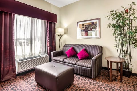 Suite, 1 King Bed, Non Smoking | Living area | 42-inch LCD TV with cable channels, TV