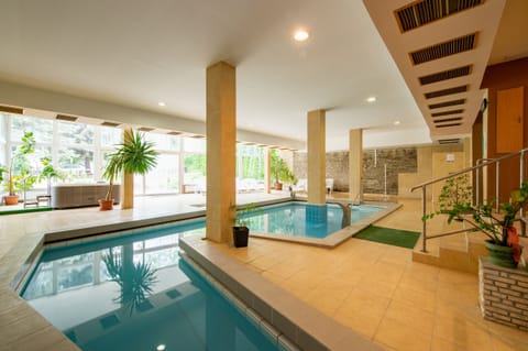 Indoor pool, sun loungers