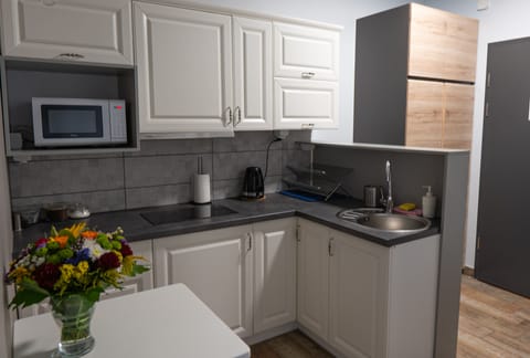 Classic Apartment | Private kitchen | Full-size fridge, microwave, stovetop, cookware/dishes/utensils