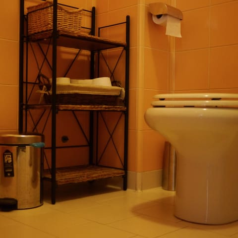 Shower, free toiletries, hair dryer, bidet