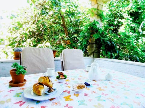 Big terrace with garden 