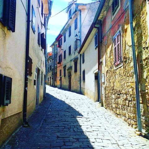 Motovun city