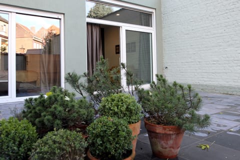 A private garden with a large terrace.