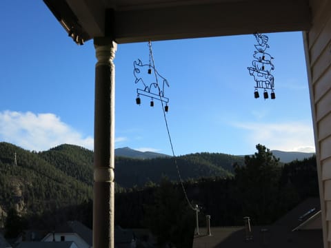 VIEW FROM THE FRONT PORCH