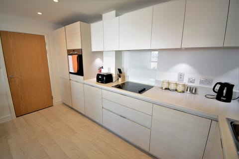 Deluxe Apartment | Private kitchen | Full-size fridge, microwave, oven, stovetop