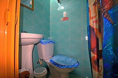 Basic Double Room | Bathroom | Shower, towels