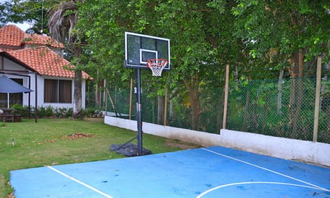 Basketball court