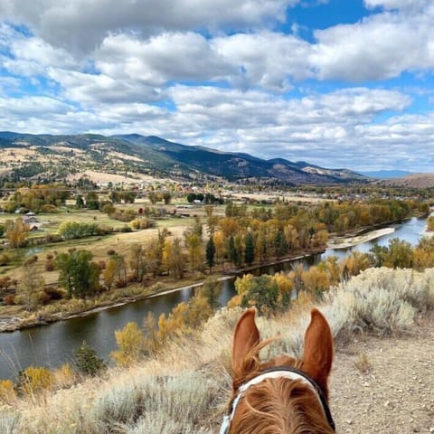 Horseback riding