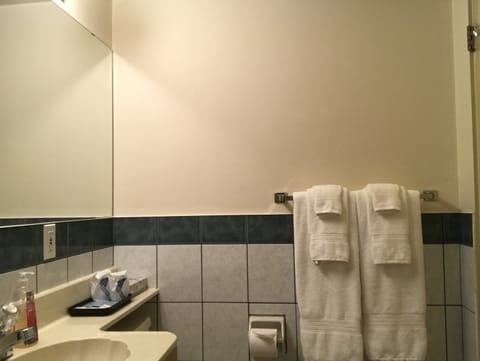 Combined shower/tub, deep soaking tub, free toiletries, hair dryer